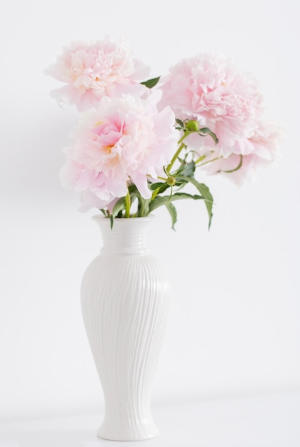 Peonie rosa in vaso di ceramica bianca con interno bianco