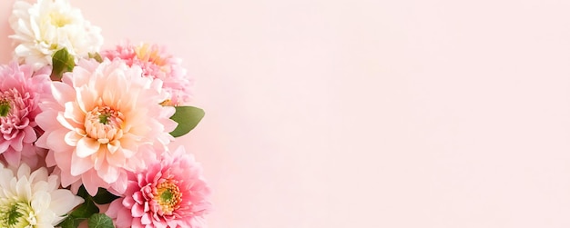 Peonie teneri su sfondo rosa Disegno astratto di cornice floreale naturale con spazio per il testo