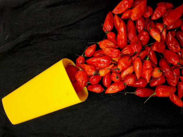 pepe fantasma (bhut jolokia) isolato.