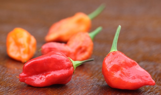 Peperoncini Bhut Jolokia o Naga Morich del Bangladesh