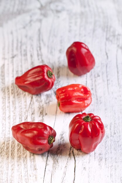 Peperoncini di peperoncino rosso habanero