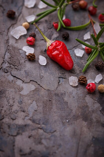 Peperoncini piccanti, rosmarino e sale. Messa a fuoco selettiva