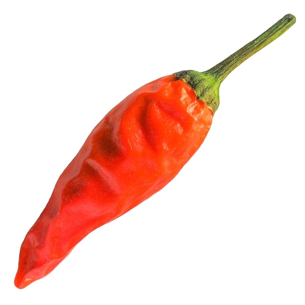 Peperoncino Capsicum isolato su bianco