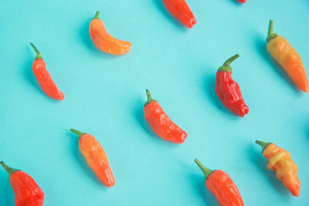 Peperoncino colorato vibrante su sfondo blu piatto dall'alto