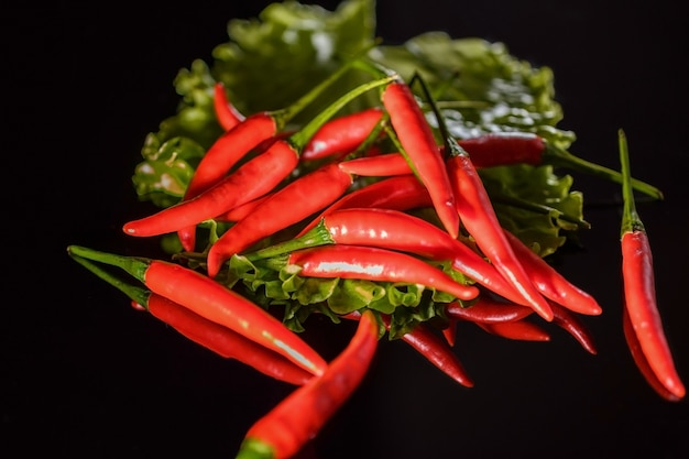 peperoncino rosso su sfondo nero su foglia di lattuga