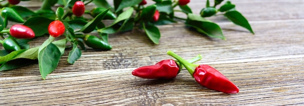 peperoncino rosso su una tavola di legno