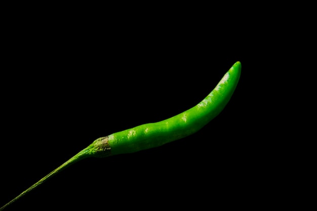 Peperoncino verde caldo e fresco isolato su sfondo nero fotografia in studio