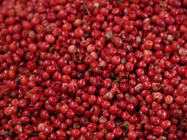 Peperone rosa rosso al mercato alimentare di strada a Ortigia Siracusa in Sicilia