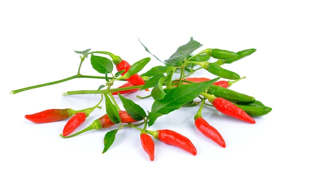 Peperoni di peperoncino rosso roventi su bianco