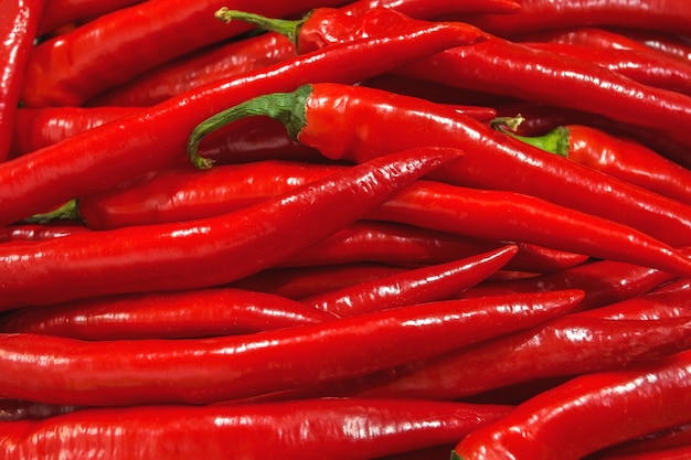 Peperoni rossi al mercato ortofrutticolo o al negozio di alimentari all'ingrosso. Sfondo di pepe.