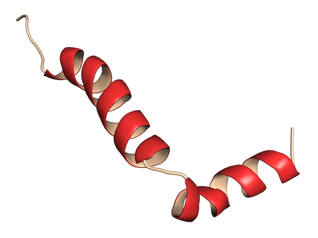 Peptide beta-amiloide (Abeta), rendering 3D. Componente principale delle placche trovate nella malattia di Alzheimer. Rappresentazione del fumetto.