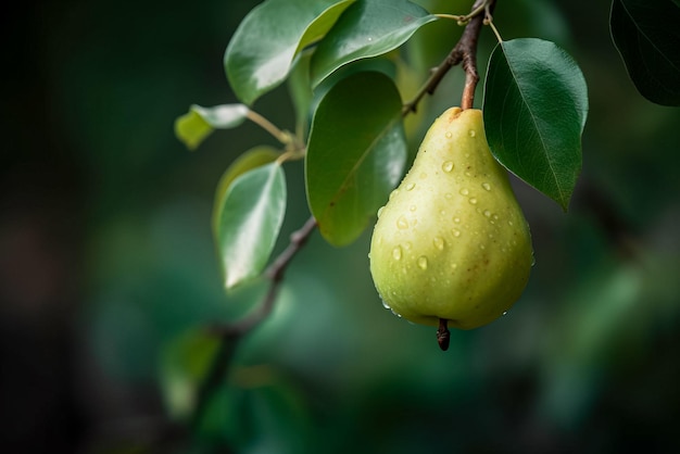 Pera verde matura su un ramo con foglie su sfondo scuro AI generativa