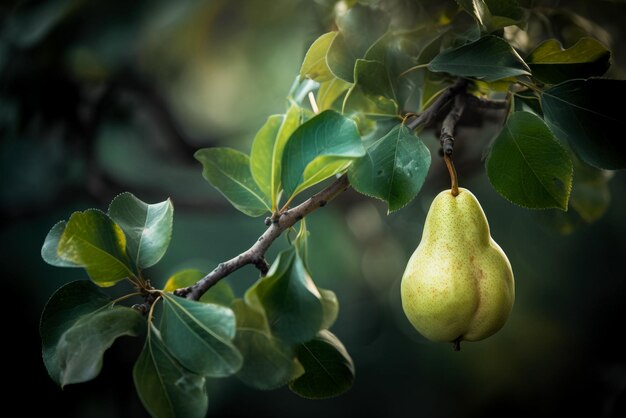 Pera verde matura su un ramo con foglie su sfondo scuro AI generativa