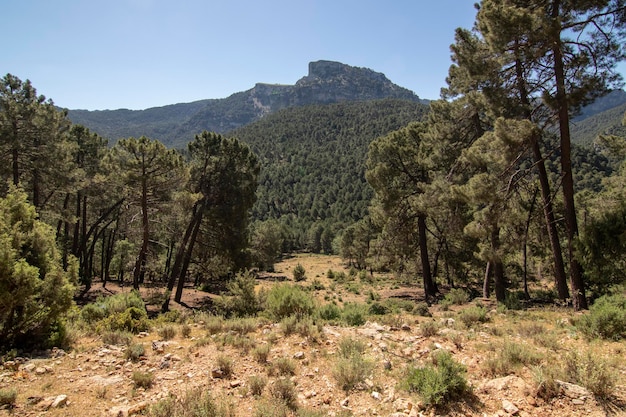 Percorsi con viste meravigliose sulla Sierra De Cazorla Spagna Concetto di turismo naturalistico