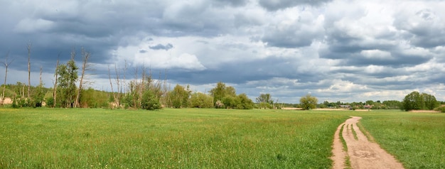 Percorso attraverso campi con cielo drammatico Campi d'orzo in primavera Composizione panoramica in verde chiaro e grigio