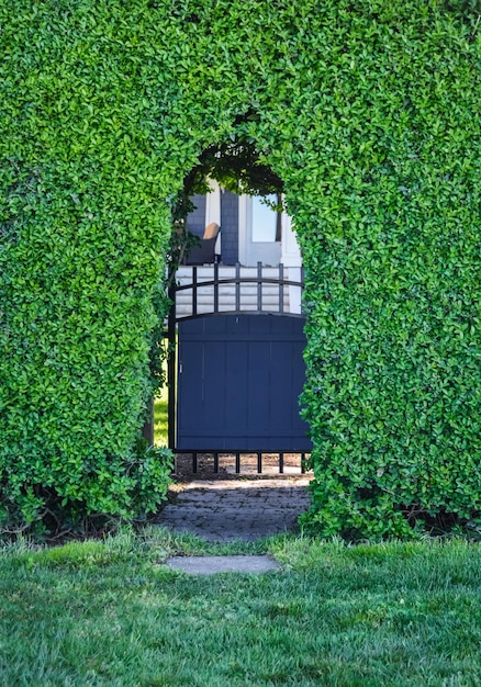 Percorso attraverso la siepe verde che conduce all'ingresso della casa attraverso il cancello