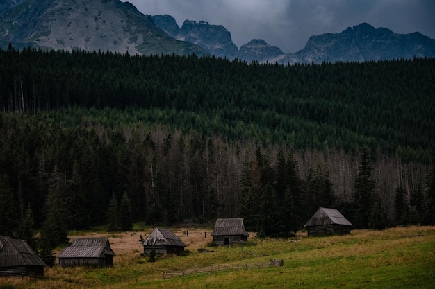 Percorso attraverso la valle di Gasienicowa nei monti Tatry Polonia Cupo clima autunnale su belle case di legno nei prati ai piedi