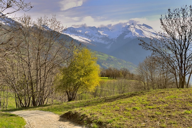 Percorso che attraversa montagna verde