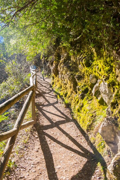 Percorso del fiume Borosa nel parco naturale Sierra de Cazorla Segura e Las Villas