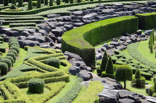 Percorso del giardino con paesaggio topiaria