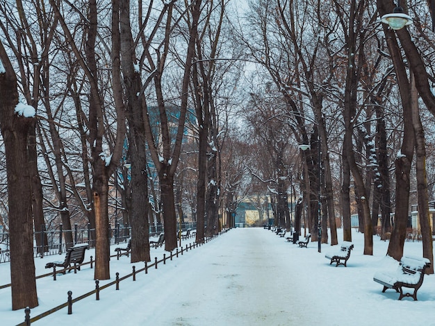 Percorso del parco cittadino in inverno