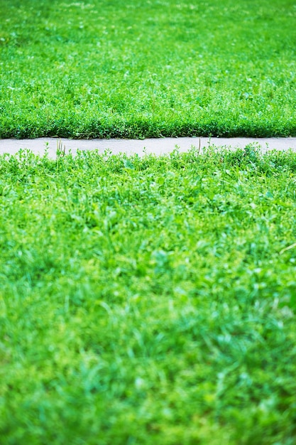 Percorso del parco verticale con sfondo di erba verde hd