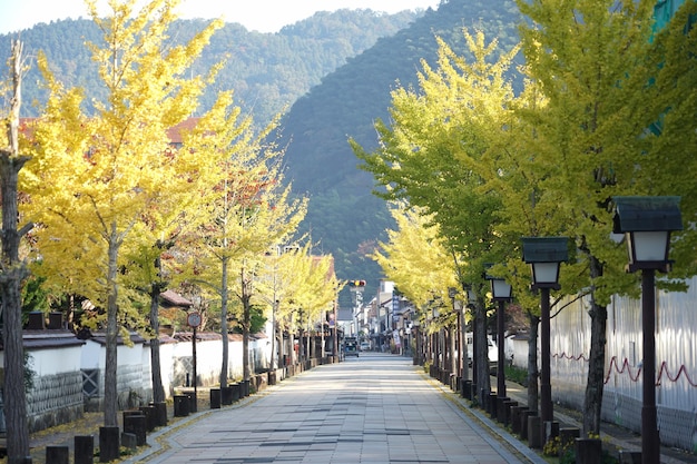 Percorso delle foglie d'autunno in Giappone