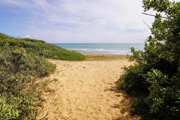 Percorso di accesso dune spiaggia sabbiosa vendee Oceano Atlantico Francia
