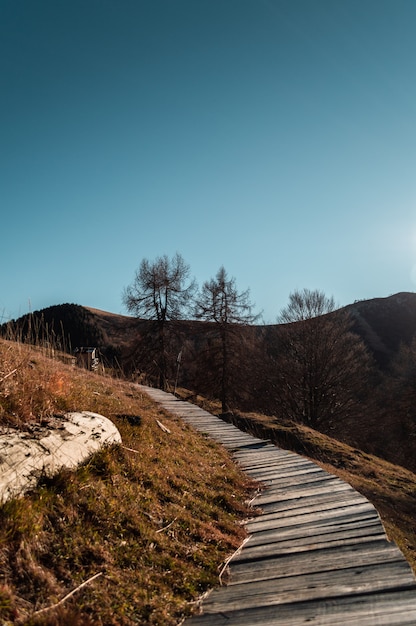 percorso di legno verso il cielo