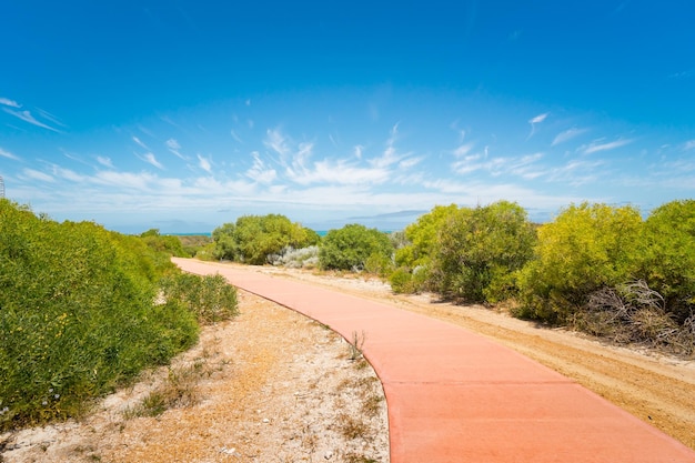 Percorso di pietra in un parco nazionale di Yanchep