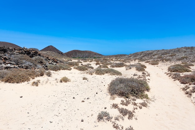 percorso di sabbie dorate sull'isola di lobos, Fuerteventura