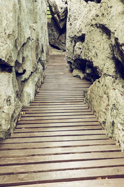 Percorso escursionistico in montagna. Sentiero di legno in montagna. Immagine tonica.