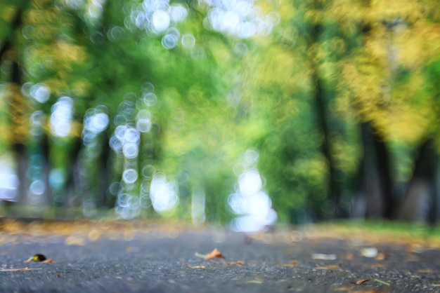 percorso in autunno parco soleggiato paesaggio carta da parati autunno astratto