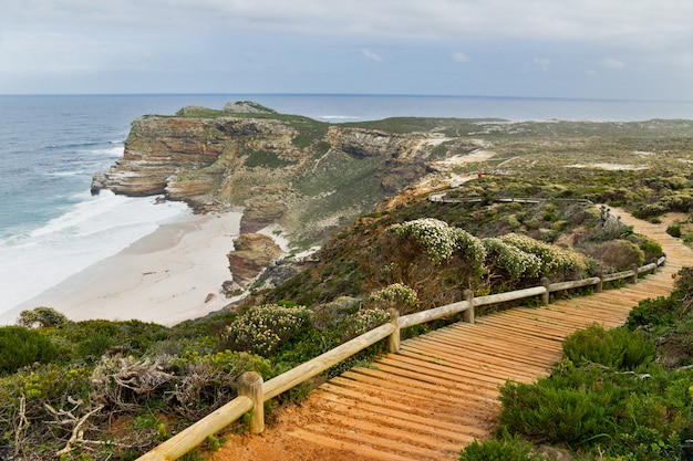 Percorso in legno con splendida vista mare. Scogliere ed oceano a Capo di Buona Speranza, Sudafrica