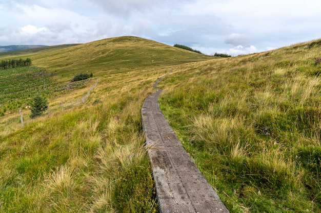 Percorso in legno nel modo Wicklow.