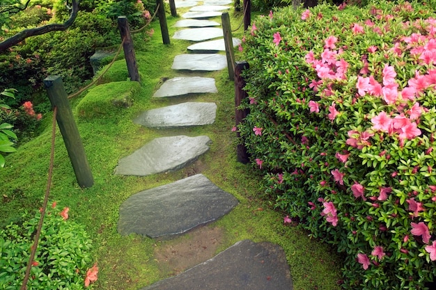 Percorso in pietra zen nel giardino giapponese in una giornata estiva umida