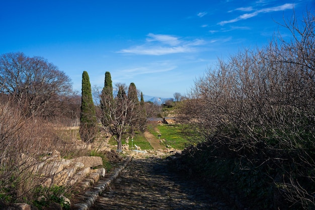 Percorso lungo le rovine della città vecchia nel sito archeologico di Morgantina Sicilia