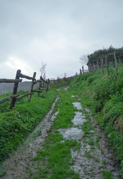 Percorso naturale in un paesaggio rurale