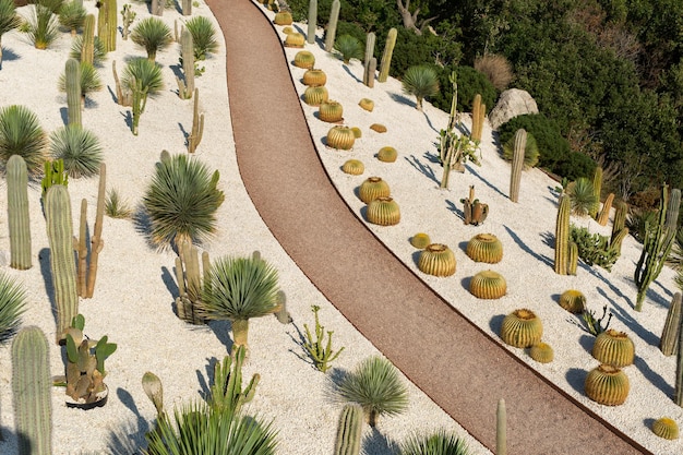 Percorso nei giardini di cactus tropicali vicino al mare