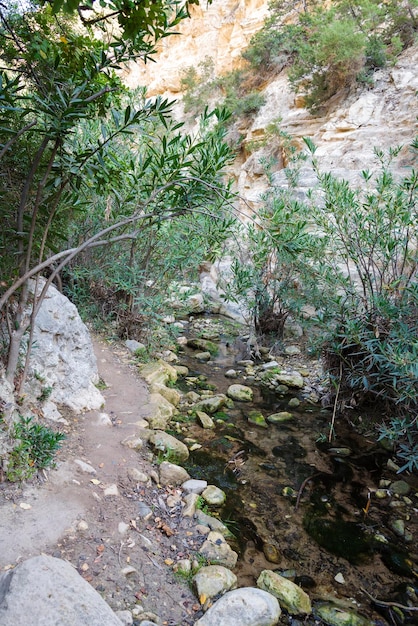 Percorso nella gola di avakas Escursioni nella gola in una giornata autunnale