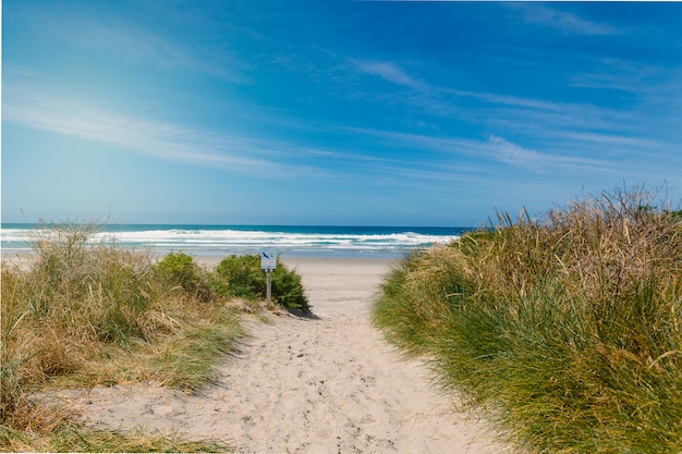 Percorso per svuotare la spiaggia di Allans vicino a Dunedin, Nuova Zelanda