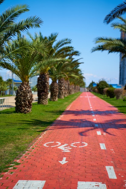 Percorso speciale per biciclette e scooter sull'argine della città di Batumi.