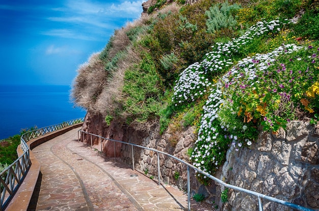 Percorso sulla costa in primavera