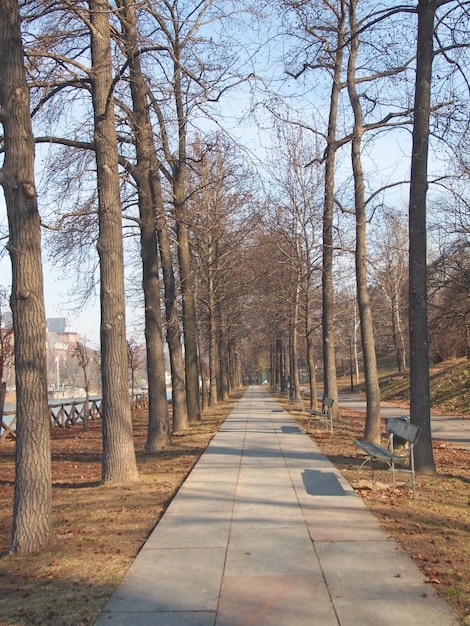 Percorso tra gli alberi