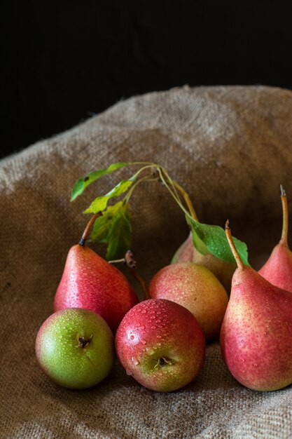 pere rosse, vegane, alimenti dietetici. Raccolto autunnale Frutta succosa sul sacchetto Umore autunnale. Vegetariano.