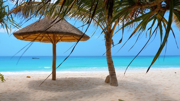 Perfetta spiaggia di sabbia bianca con palme e ombrellone, Zanzibar, Tanzania