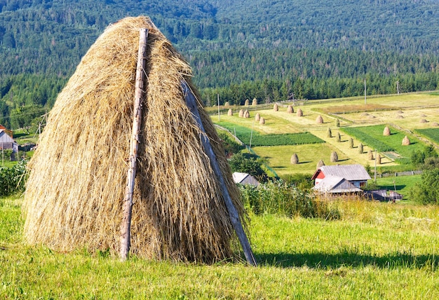 Periferia estiva del villaggio di montagna con mucchi di fieno sul campo (Carpazi, Ucraina)