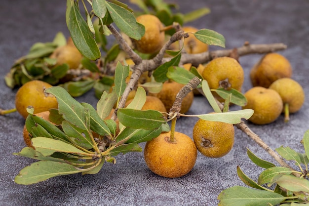 Pero selvatico (noto anche come Pyrus pyraster, pyrus elaeagrifolia, pero di conifere); Nome turco Ahlat pera