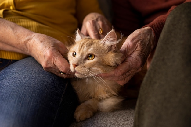 Persona anziana con gatto domestico