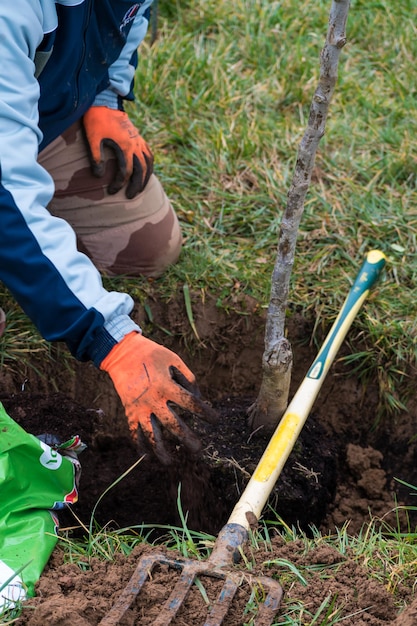 Persona che ha scavato una buca per trapiantare un albero in un giardino